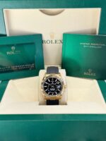 2024 Rolex Sky-Dweller 336238 - Image 2